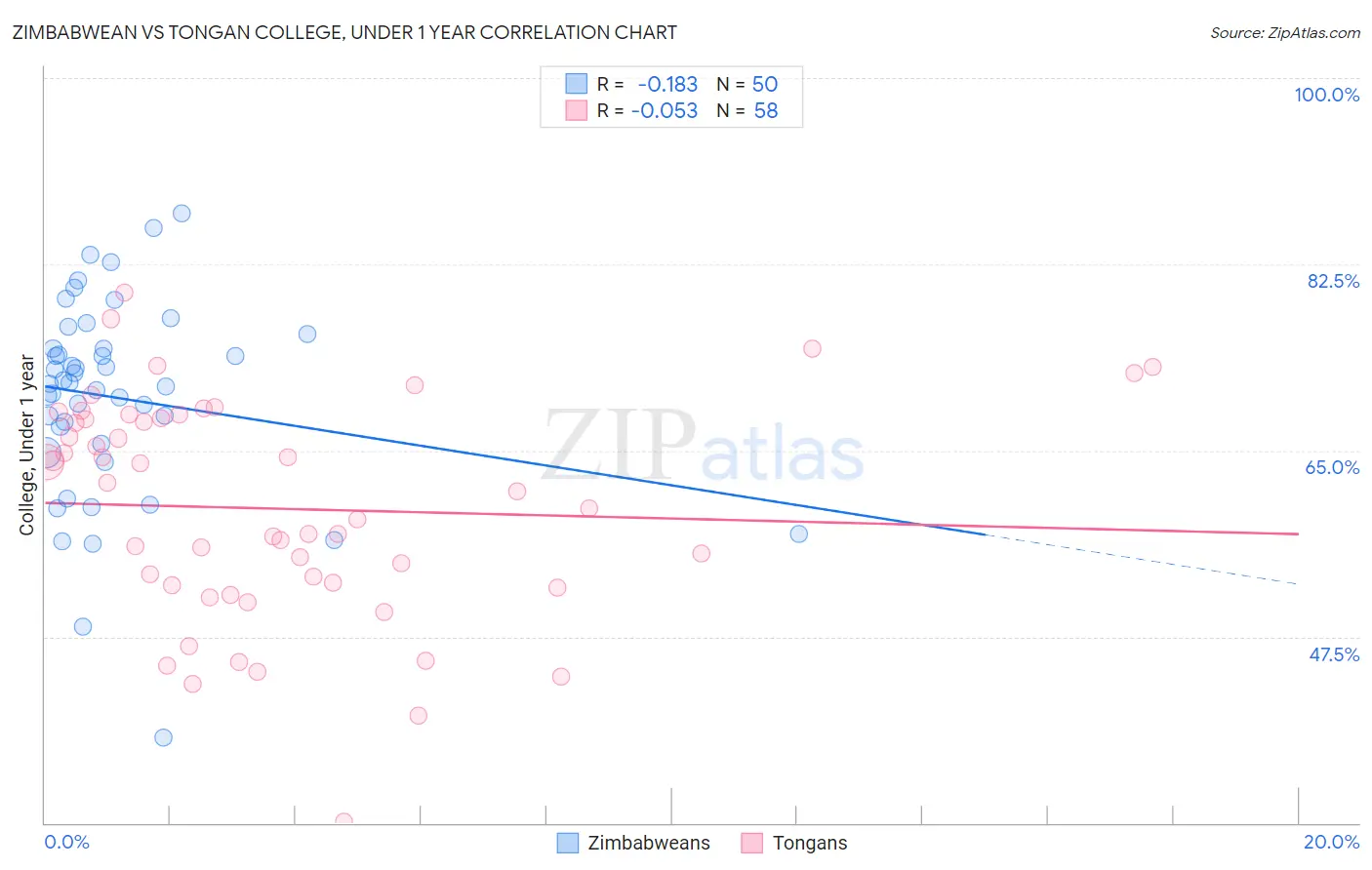 Zimbabwean vs Tongan College, Under 1 year
