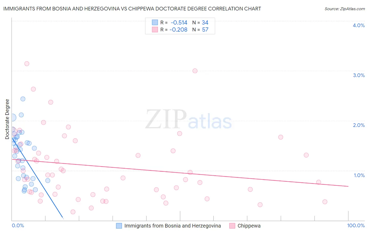 Immigrants from Bosnia and Herzegovina vs Chippewa Doctorate Degree