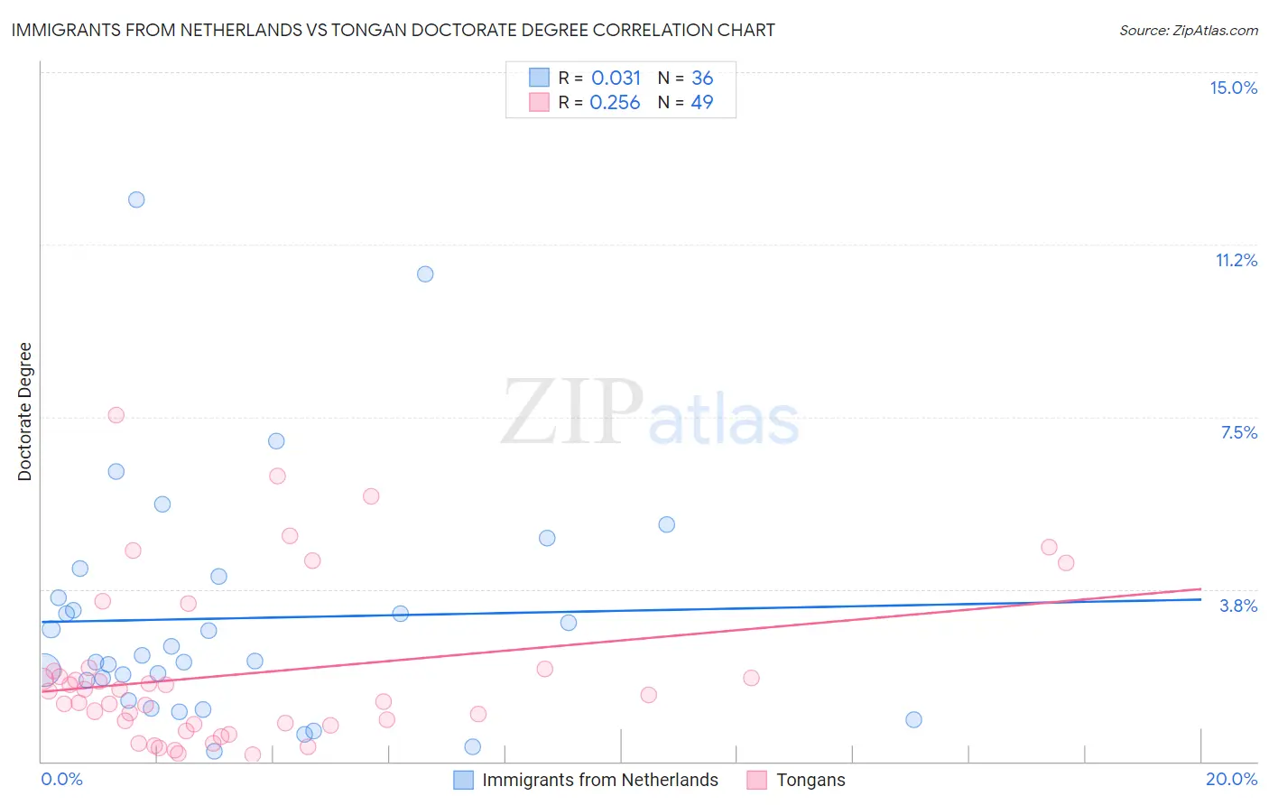 Immigrants from Netherlands vs Tongan Doctorate Degree