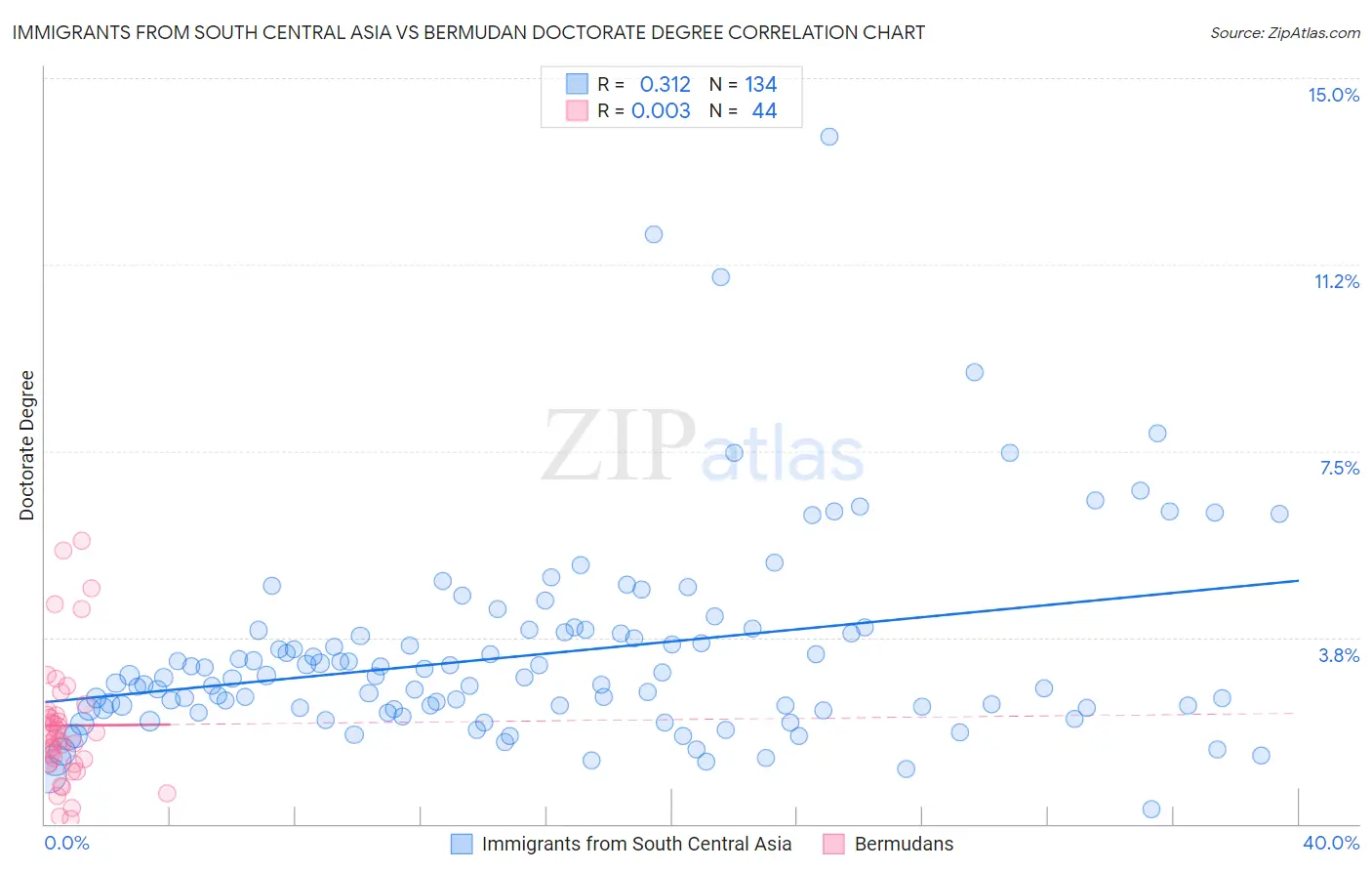 Immigrants from South Central Asia vs Bermudan Doctorate Degree
