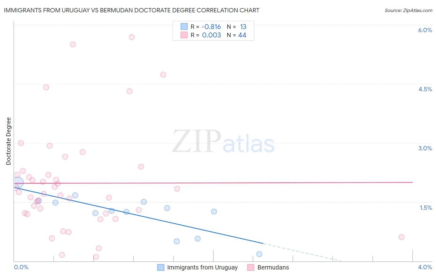 Immigrants from Uruguay vs Bermudan Doctorate Degree
