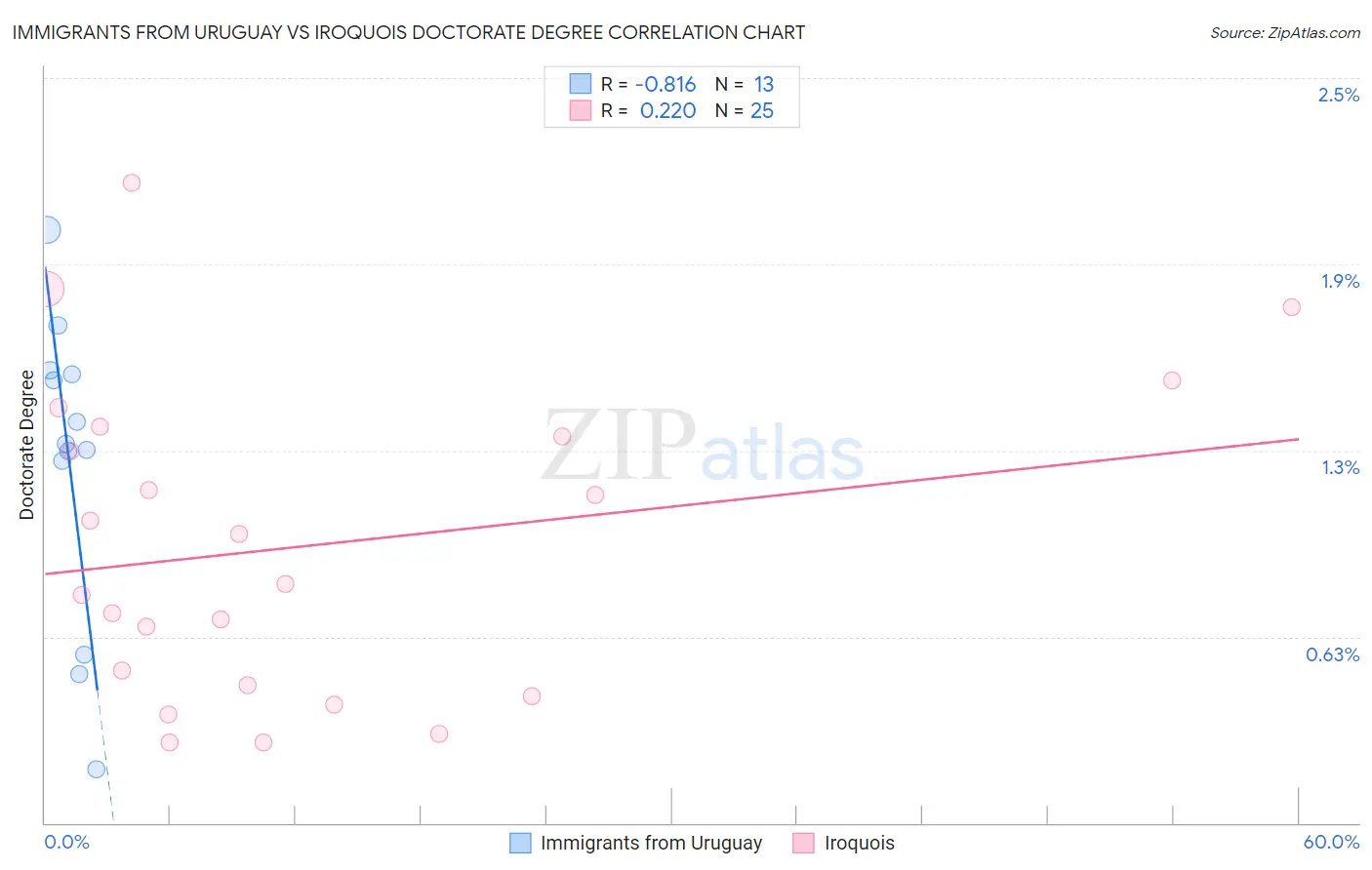 Immigrants from Uruguay vs Iroquois Doctorate Degree
