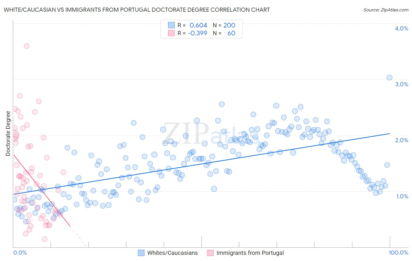 White/Caucasian vs Immigrants from Portugal Doctorate Degree