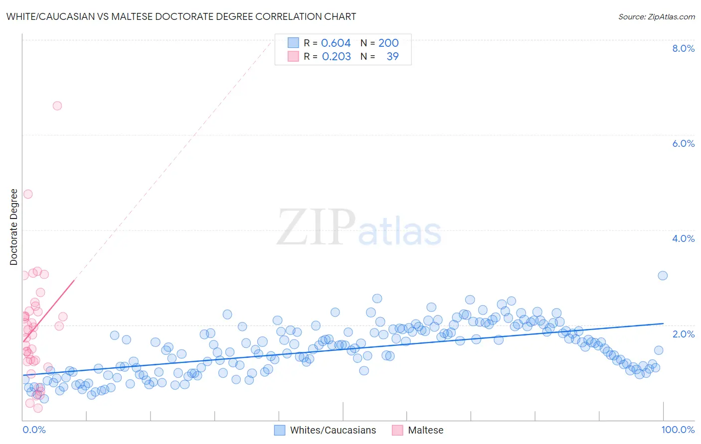 White/Caucasian vs Maltese Doctorate Degree