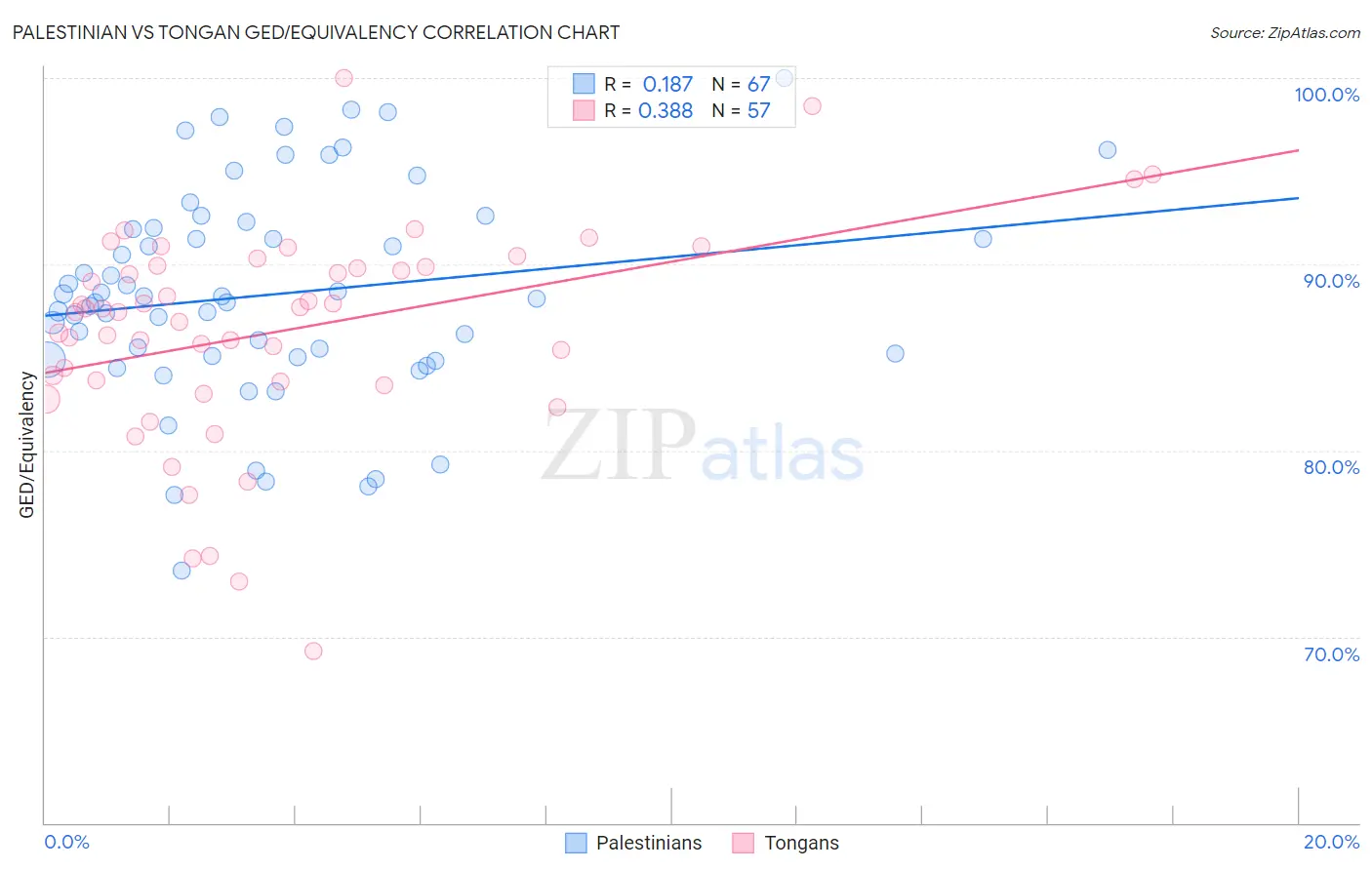 Palestinian vs Tongan GED/Equivalency