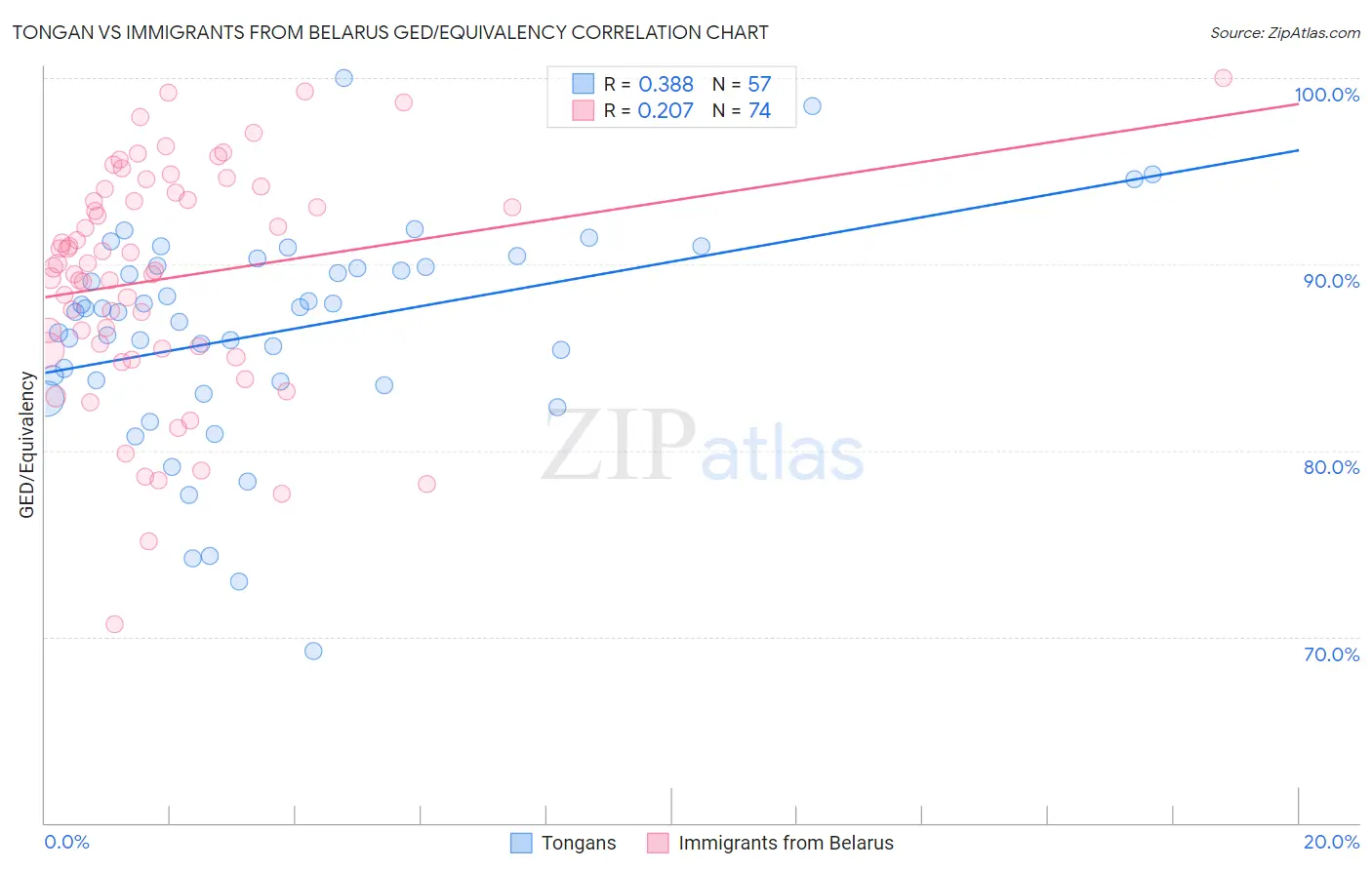 Tongan vs Immigrants from Belarus GED/Equivalency
