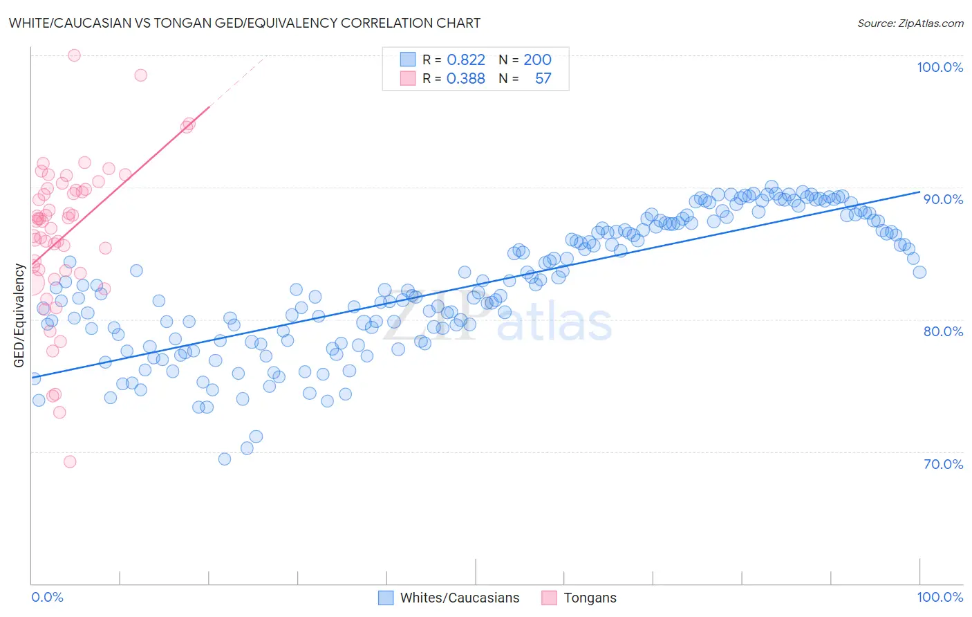 White/Caucasian vs Tongan GED/Equivalency