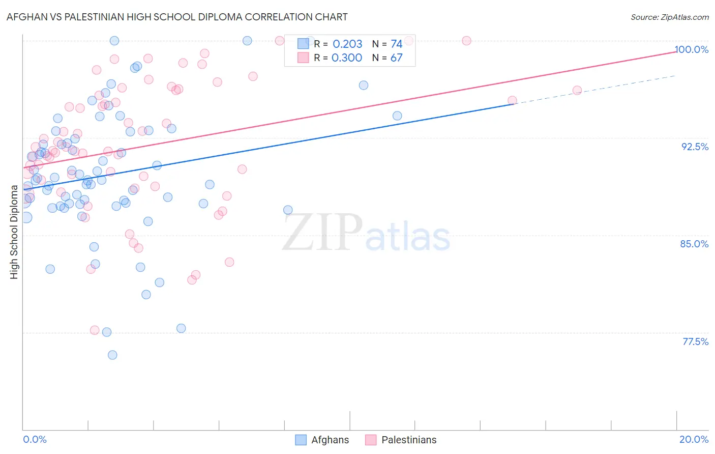 Afghan vs Palestinian High School Diploma