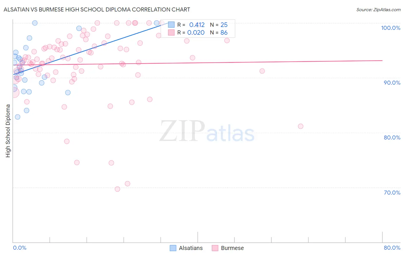 Alsatian vs Burmese High School Diploma