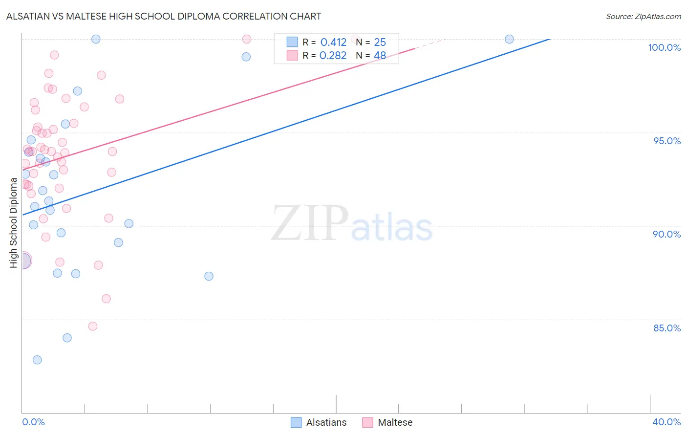 Alsatian vs Maltese High School Diploma