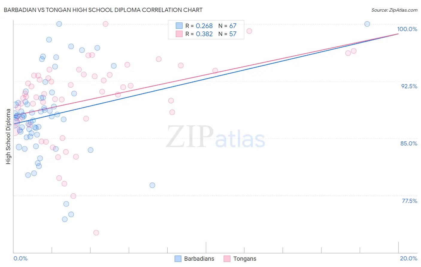 Barbadian vs Tongan High School Diploma