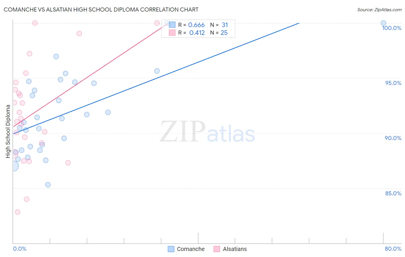 Comanche vs Alsatian High School Diploma