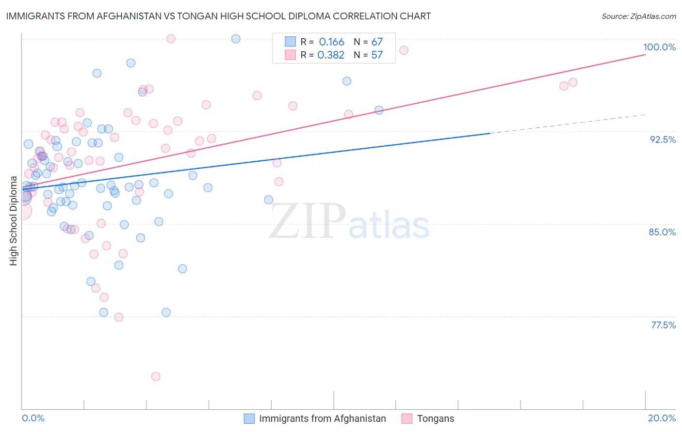 Immigrants from Afghanistan vs Tongan High School Diploma
