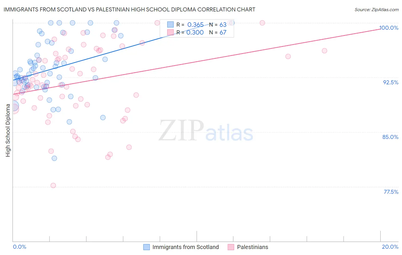 Immigrants from Scotland vs Palestinian High School Diploma