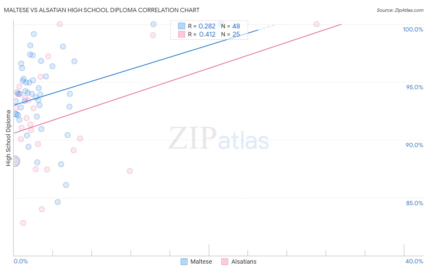 Maltese vs Alsatian High School Diploma