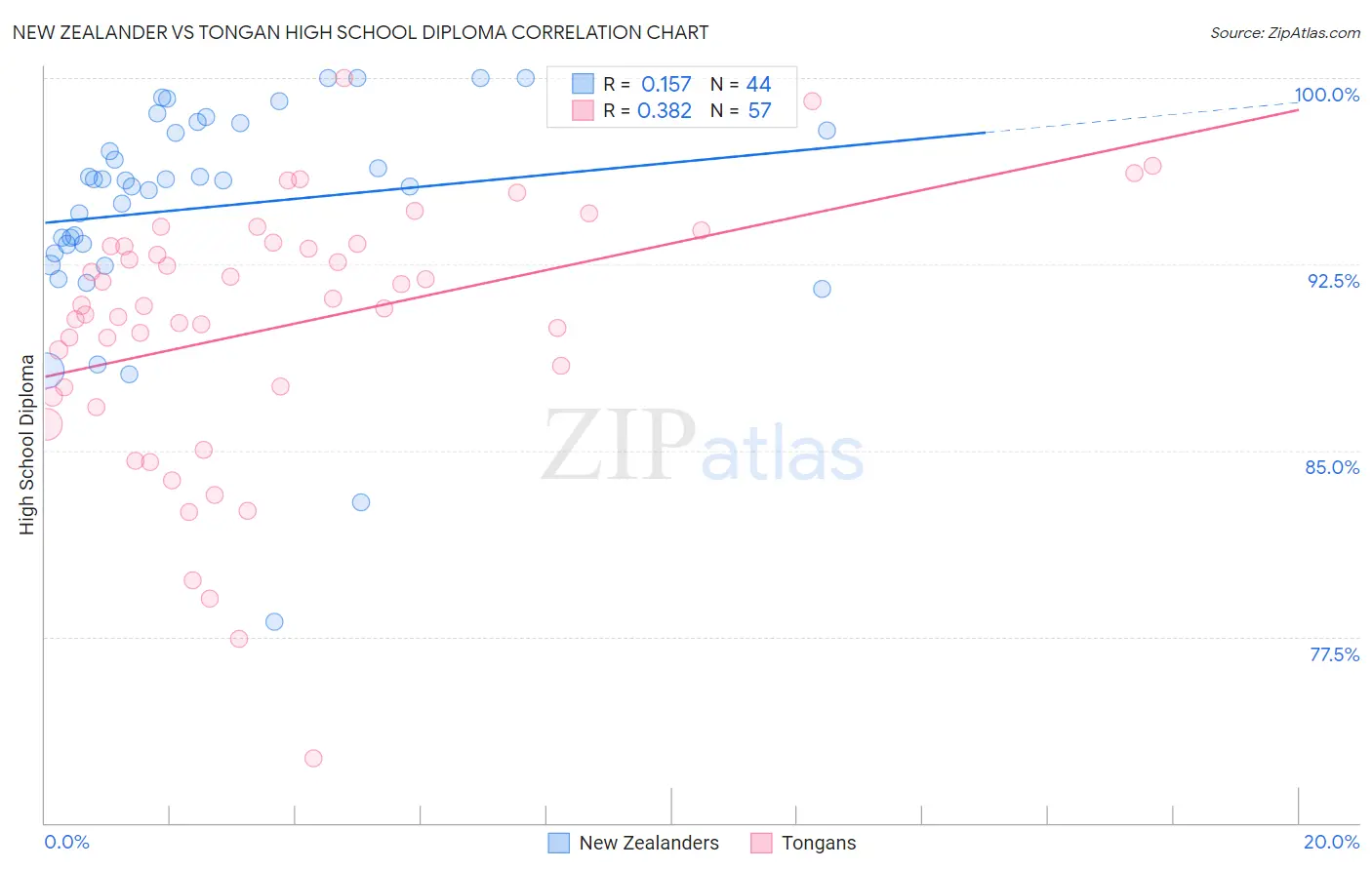 New Zealander vs Tongan High School Diploma