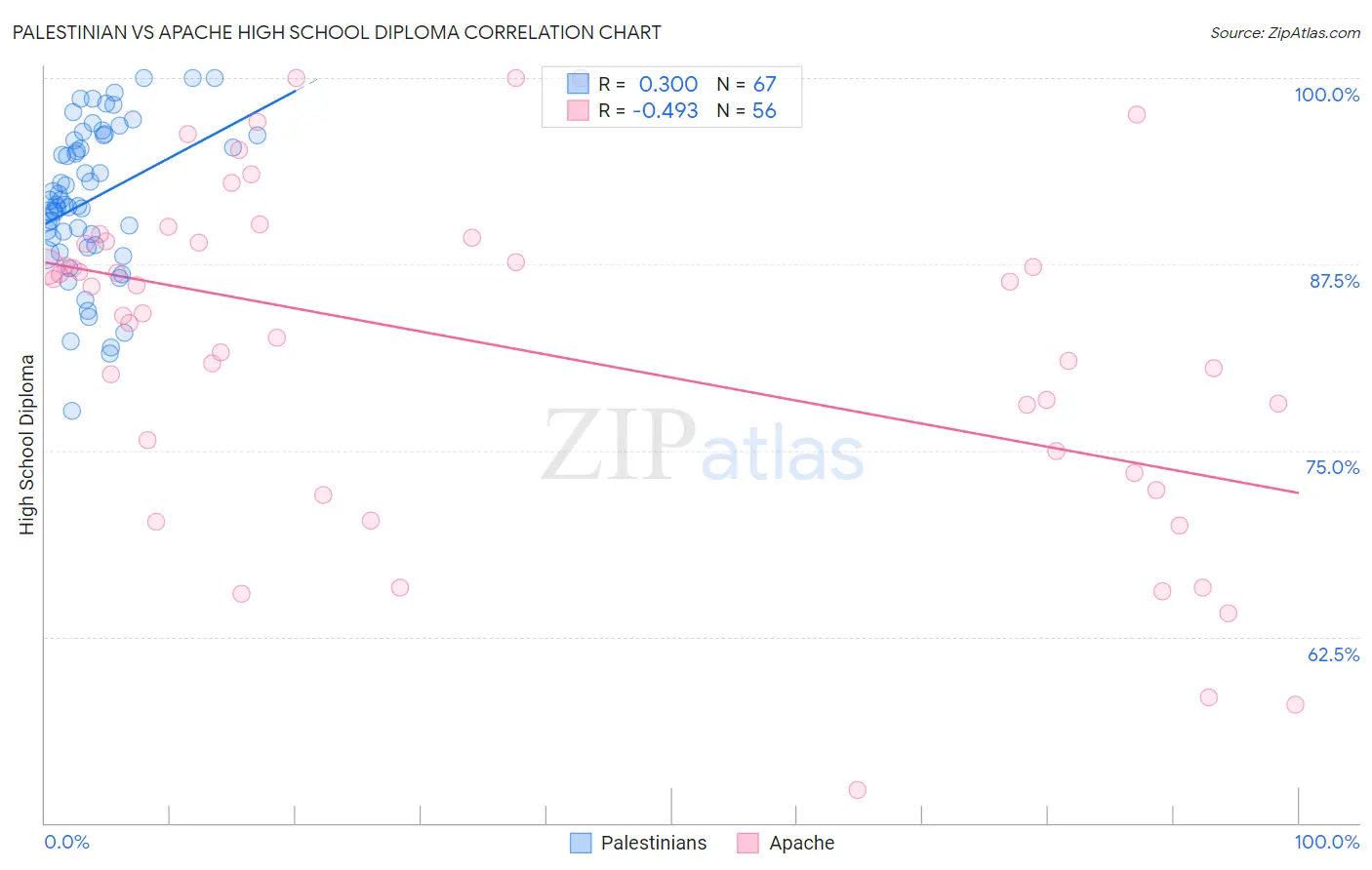 Palestinian vs Apache High School Diploma