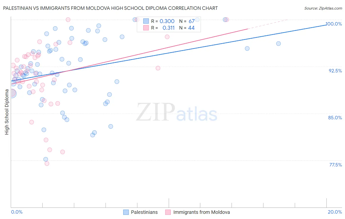 Palestinian vs Immigrants from Moldova High School Diploma
