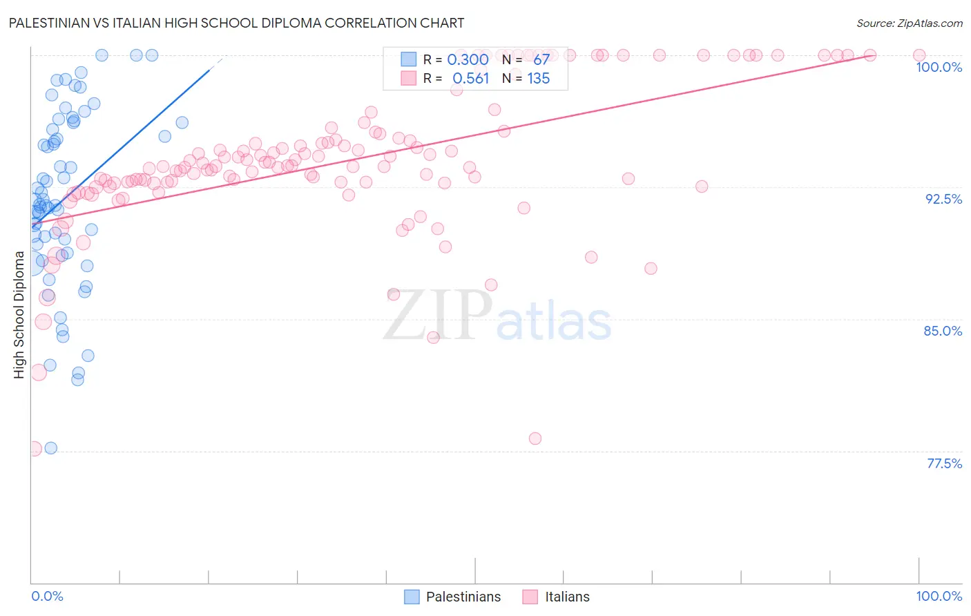 Palestinian vs Italian High School Diploma