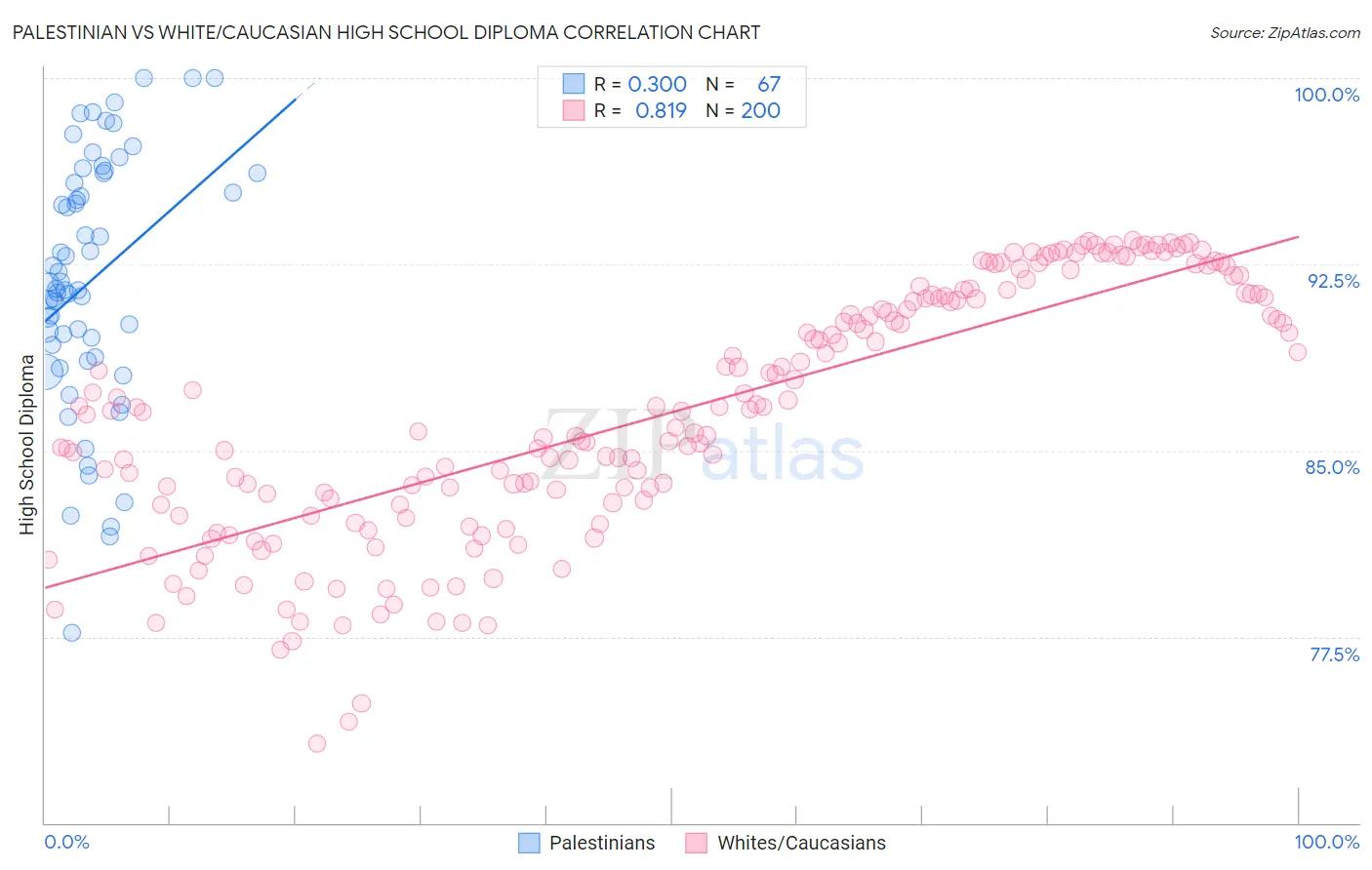 Palestinian vs White/Caucasian High School Diploma