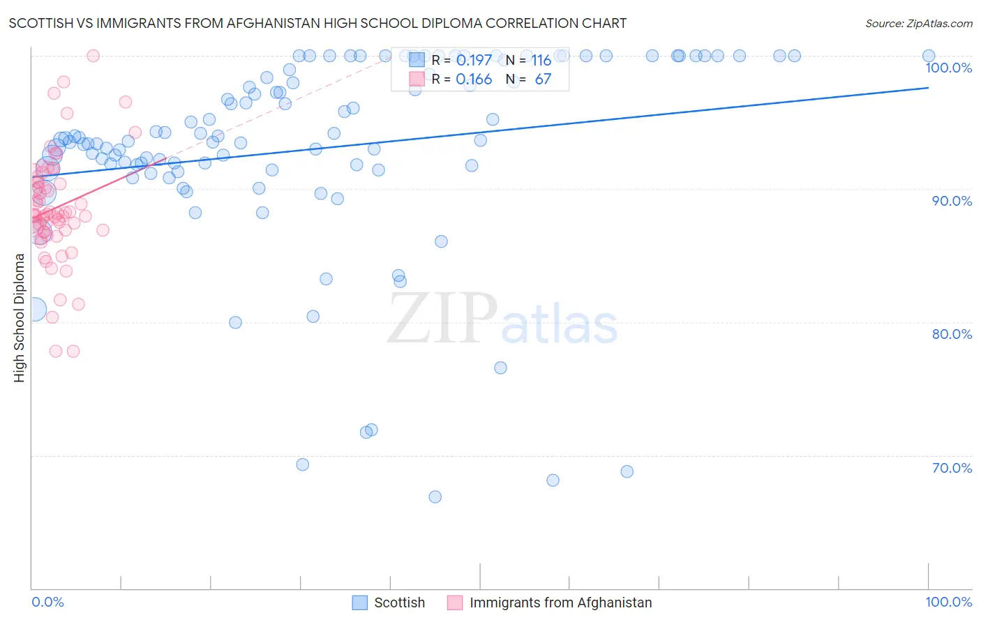 Scottish vs Immigrants from Afghanistan High School Diploma
