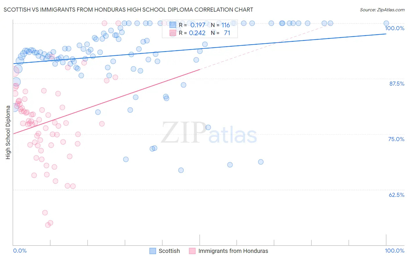 Scottish vs Immigrants from Honduras High School Diploma