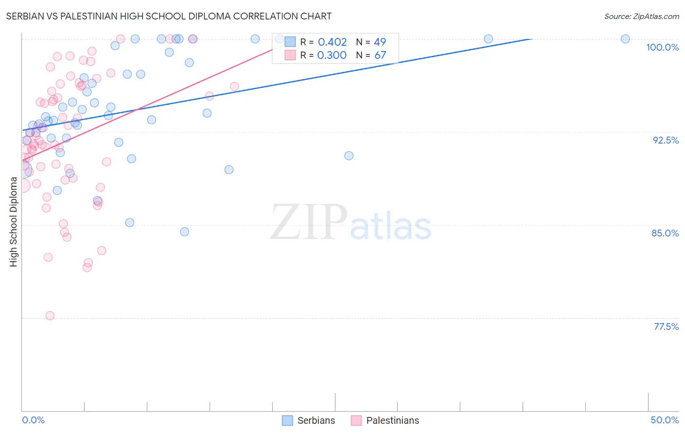 Serbian vs Palestinian High School Diploma