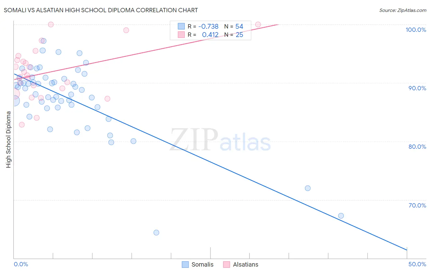 Somali vs Alsatian High School Diploma