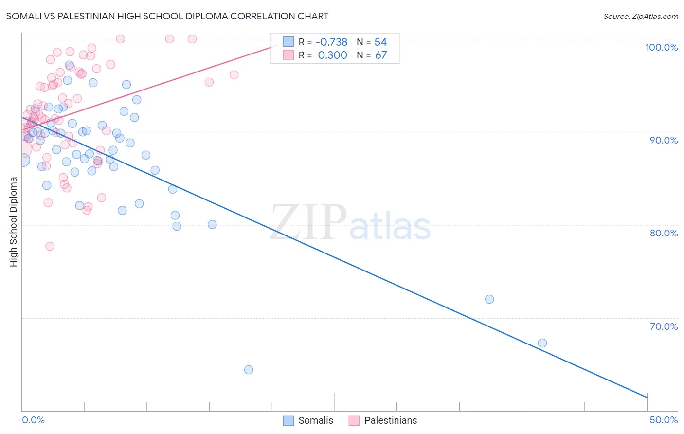 Somali vs Palestinian High School Diploma
