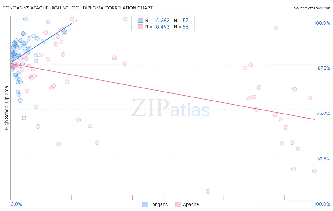 Tongan vs Apache High School Diploma