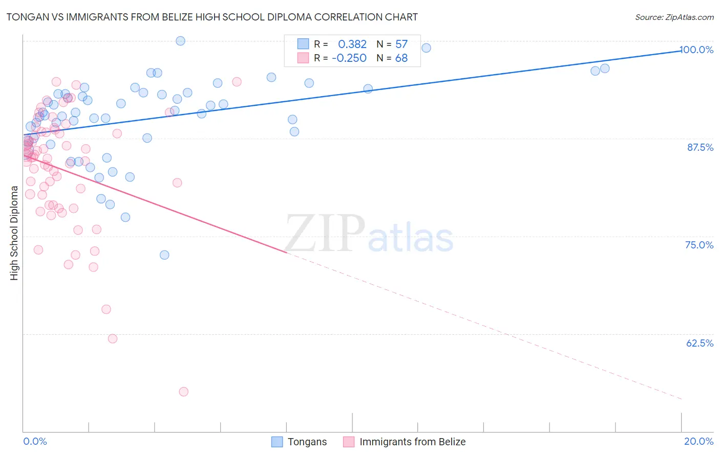 Tongan vs Immigrants from Belize High School Diploma