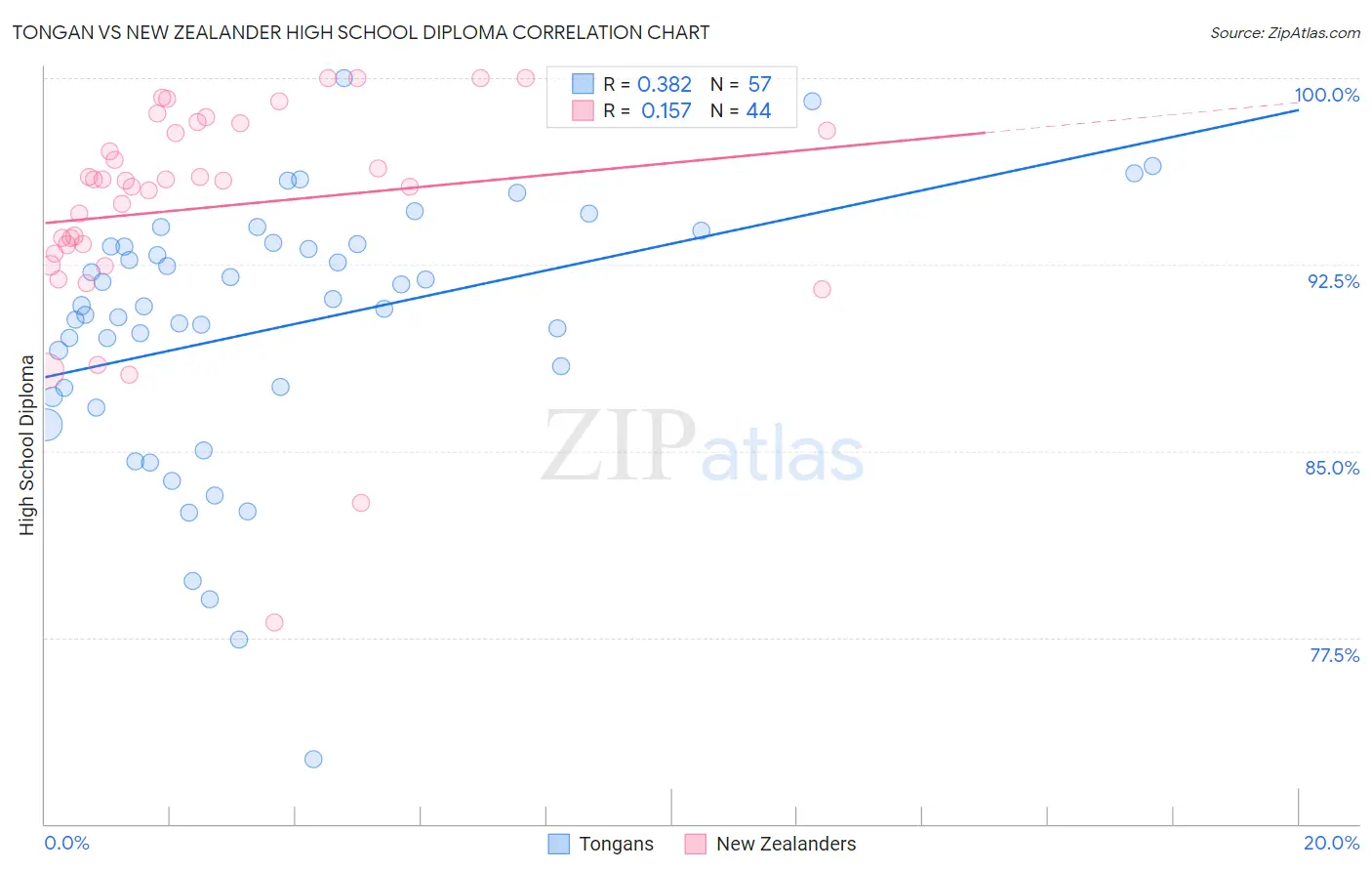 Tongan vs New Zealander High School Diploma