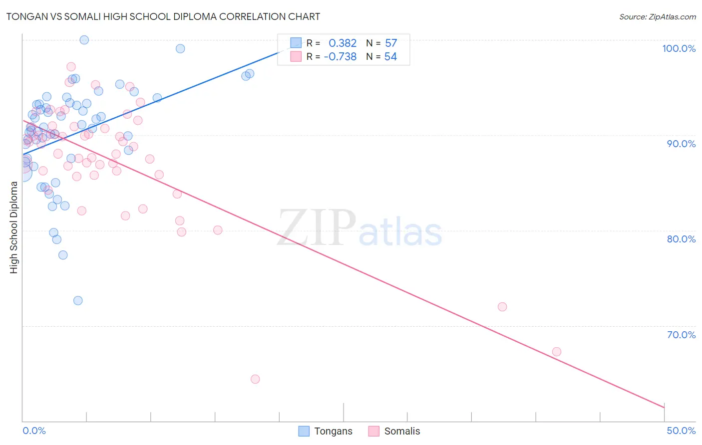 Tongan vs Somali High School Diploma