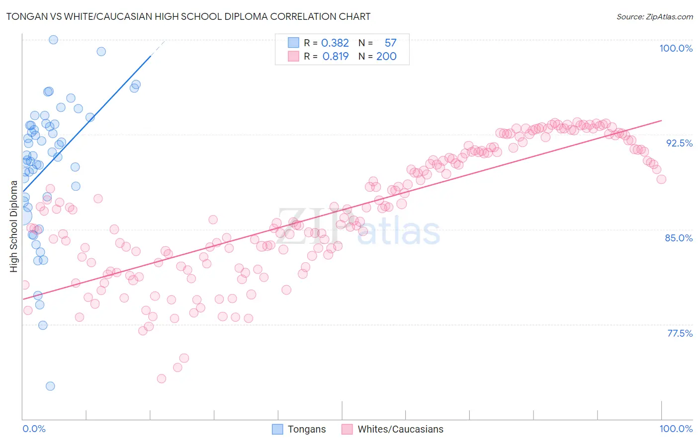 Tongan vs White/Caucasian High School Diploma