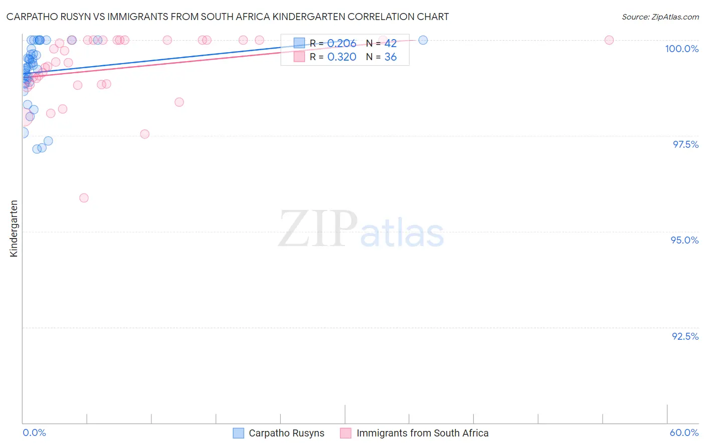 Carpatho Rusyn vs Immigrants from South Africa Kindergarten