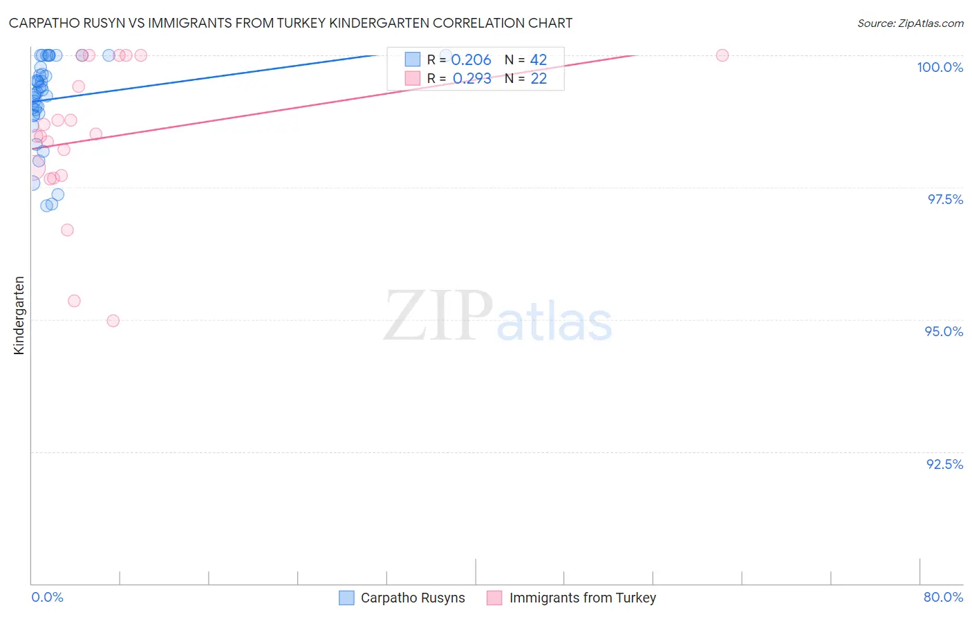 Carpatho Rusyn vs Immigrants from Turkey Kindergarten