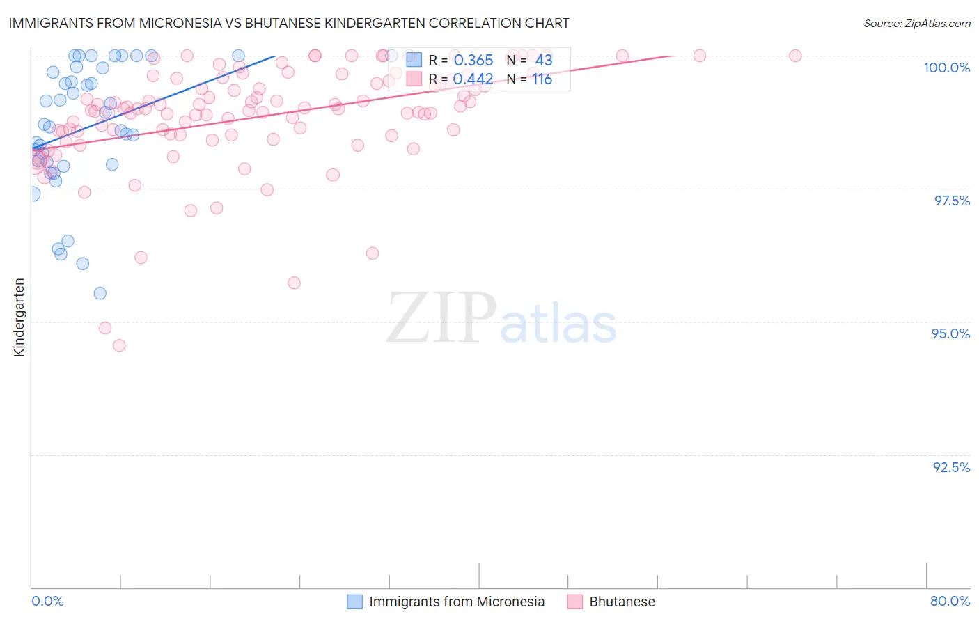 Immigrants from Micronesia vs Bhutanese Kindergarten