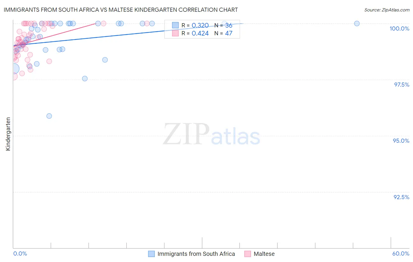 Immigrants from South Africa vs Maltese Kindergarten