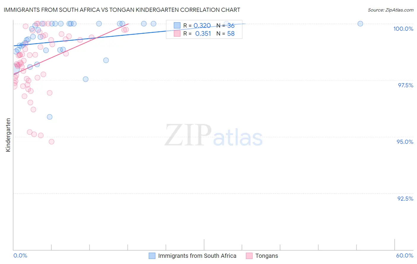 Immigrants from South Africa vs Tongan Kindergarten