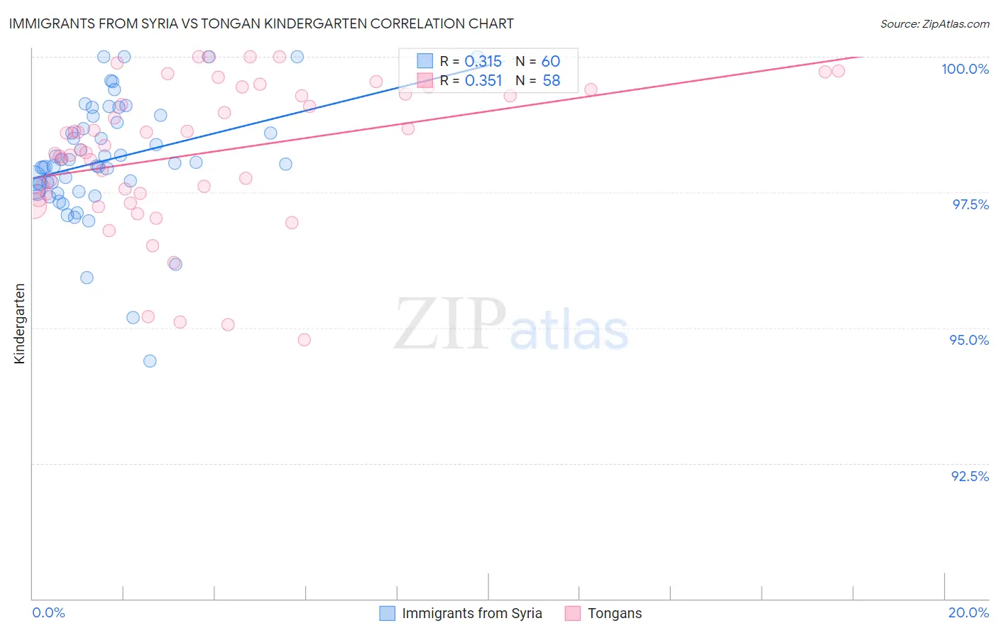 Immigrants from Syria vs Tongan Kindergarten