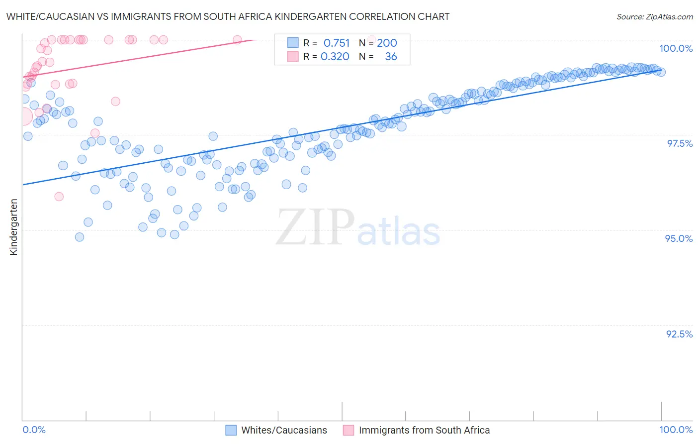 White/Caucasian vs Immigrants from South Africa Kindergarten