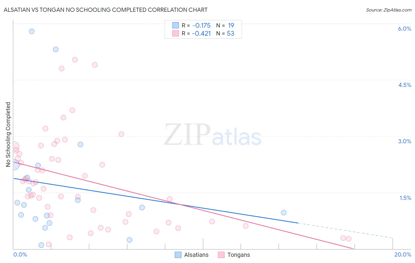 Alsatian vs Tongan No Schooling Completed