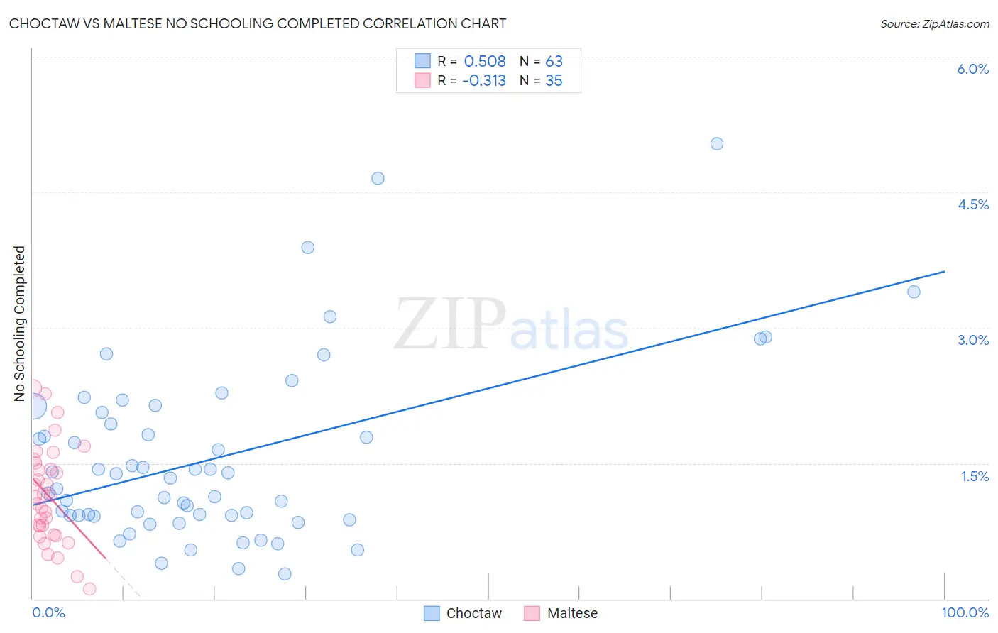 Choctaw vs Maltese No Schooling Completed