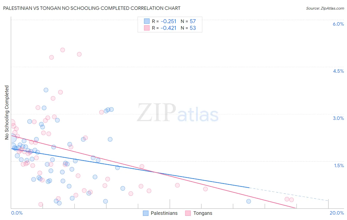Palestinian vs Tongan No Schooling Completed