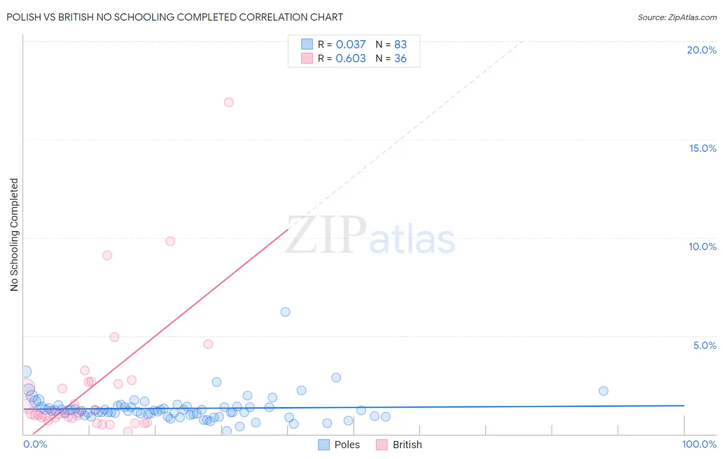 Polish vs British No Schooling Completed