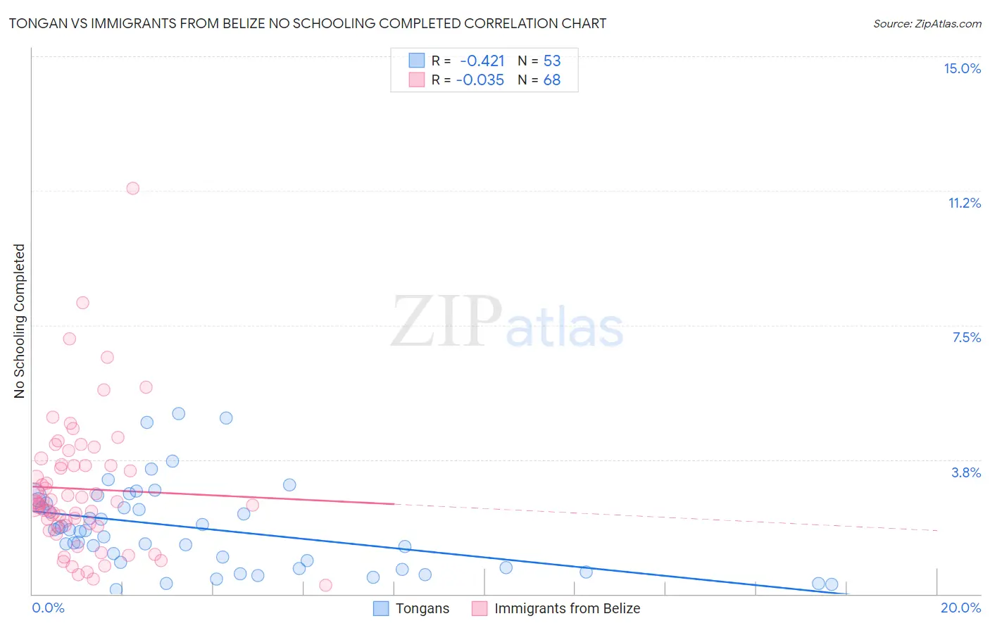 Tongan vs Immigrants from Belize No Schooling Completed