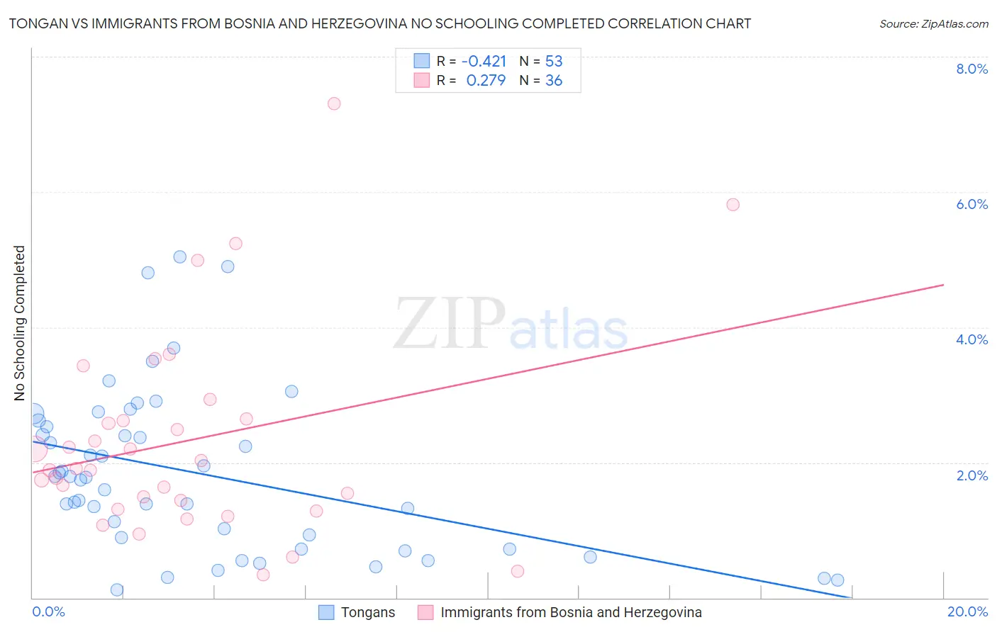 Tongan vs Immigrants from Bosnia and Herzegovina No Schooling Completed
