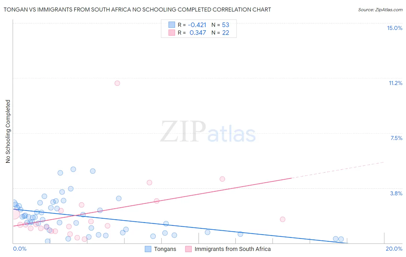 Tongan vs Immigrants from South Africa No Schooling Completed
