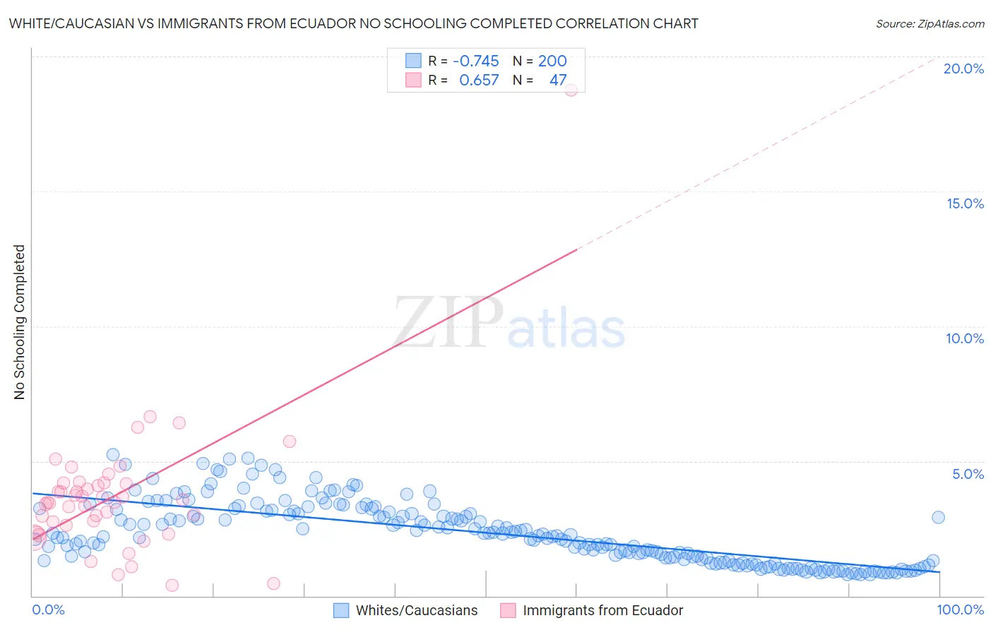 White/Caucasian vs Immigrants from Ecuador No Schooling Completed