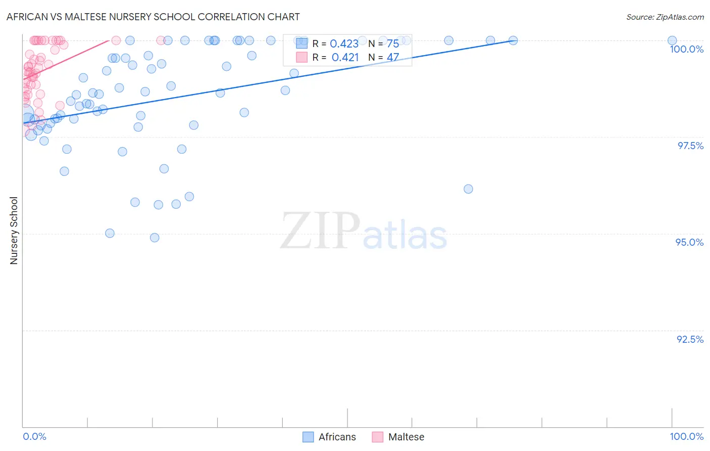 African vs Maltese Nursery School